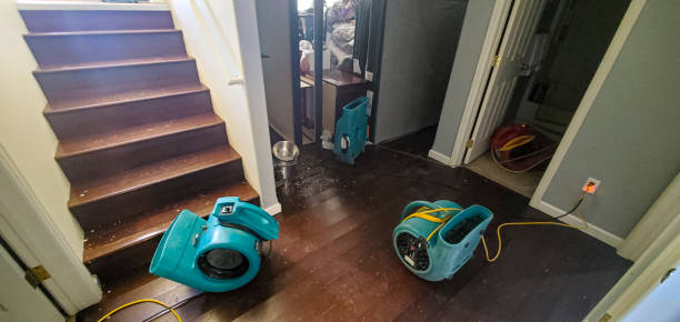 Water damage restoration experts in AR