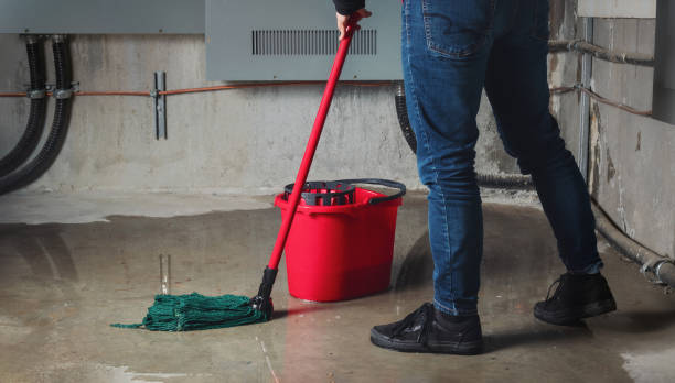 Best Water damage restoration near me  in Leachville, AR