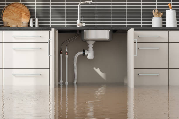 Best Local water damage restoration  in Leachville, AR