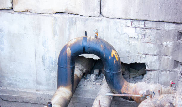 Best Water damage restoration process  in Leachville, AR